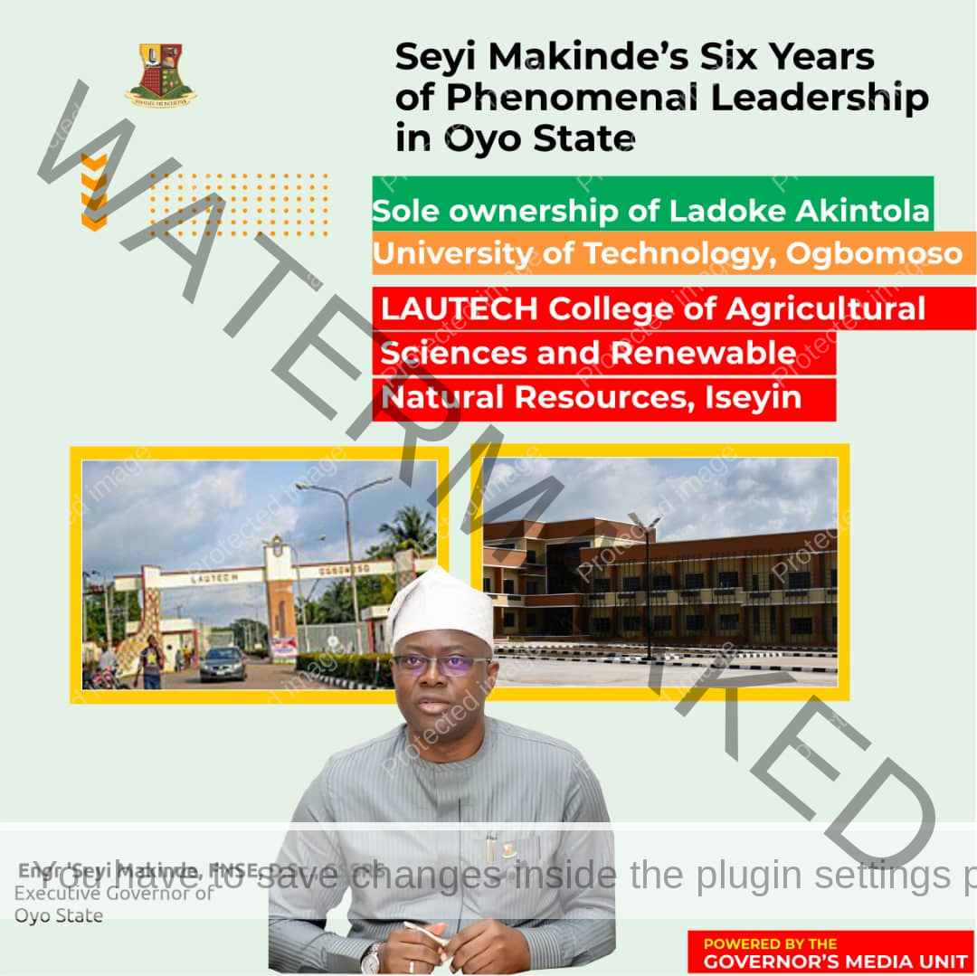 Seyin Makinde 6 Years Governor’s Media